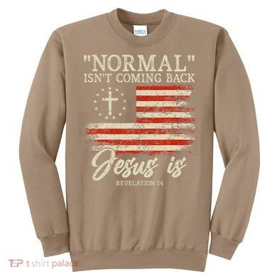 Christian Normal Isn't Coming Back Jesus Is Gift Sweatshirt
