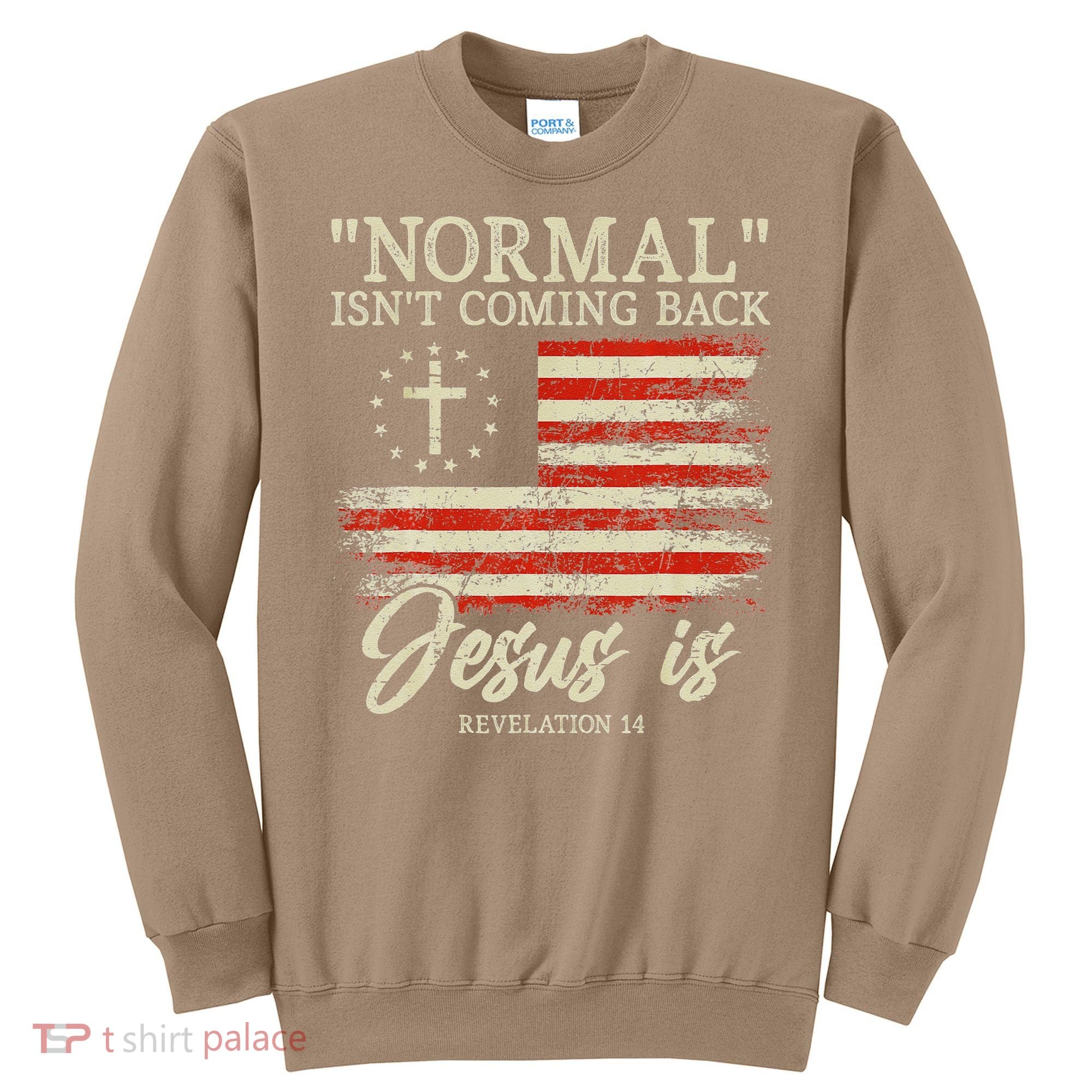 Christian Normal Isn't Coming Back Jesus Is Gift Sweatshirt