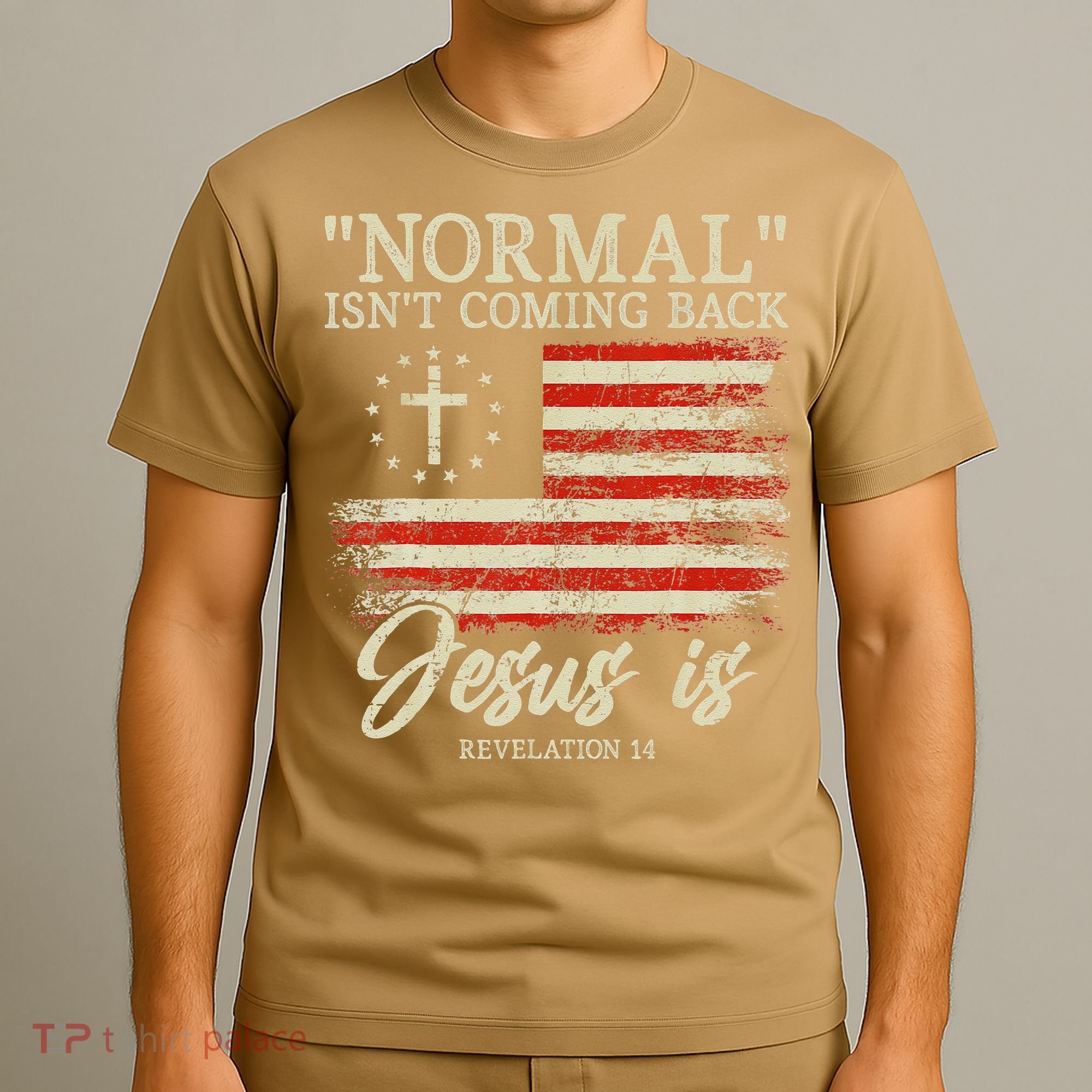 Christian Normal Isn't Coming Back Jesus Is Gift T-Shirt