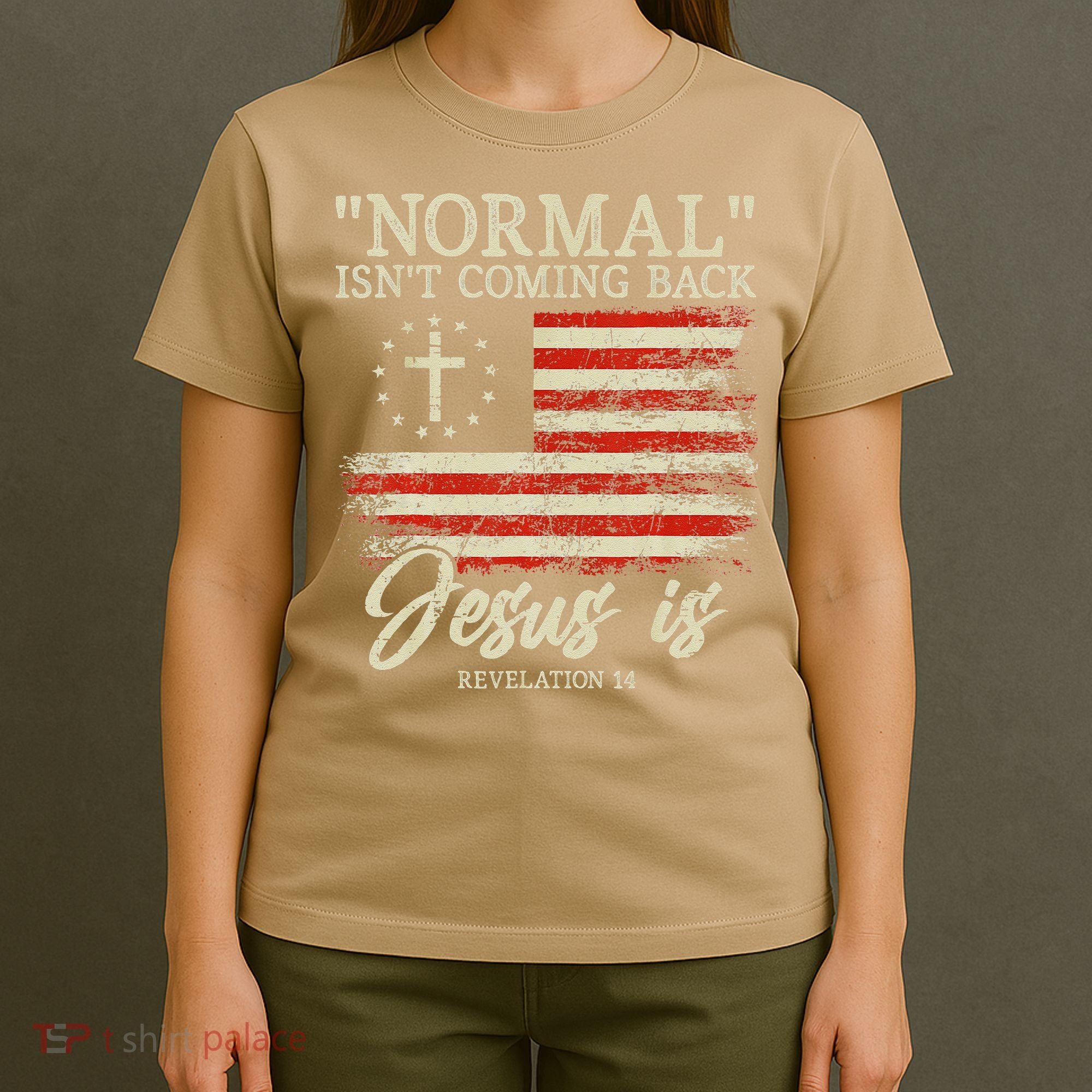 Christian Normal Isn't Coming Back Jesus Is Gift T-Shirt