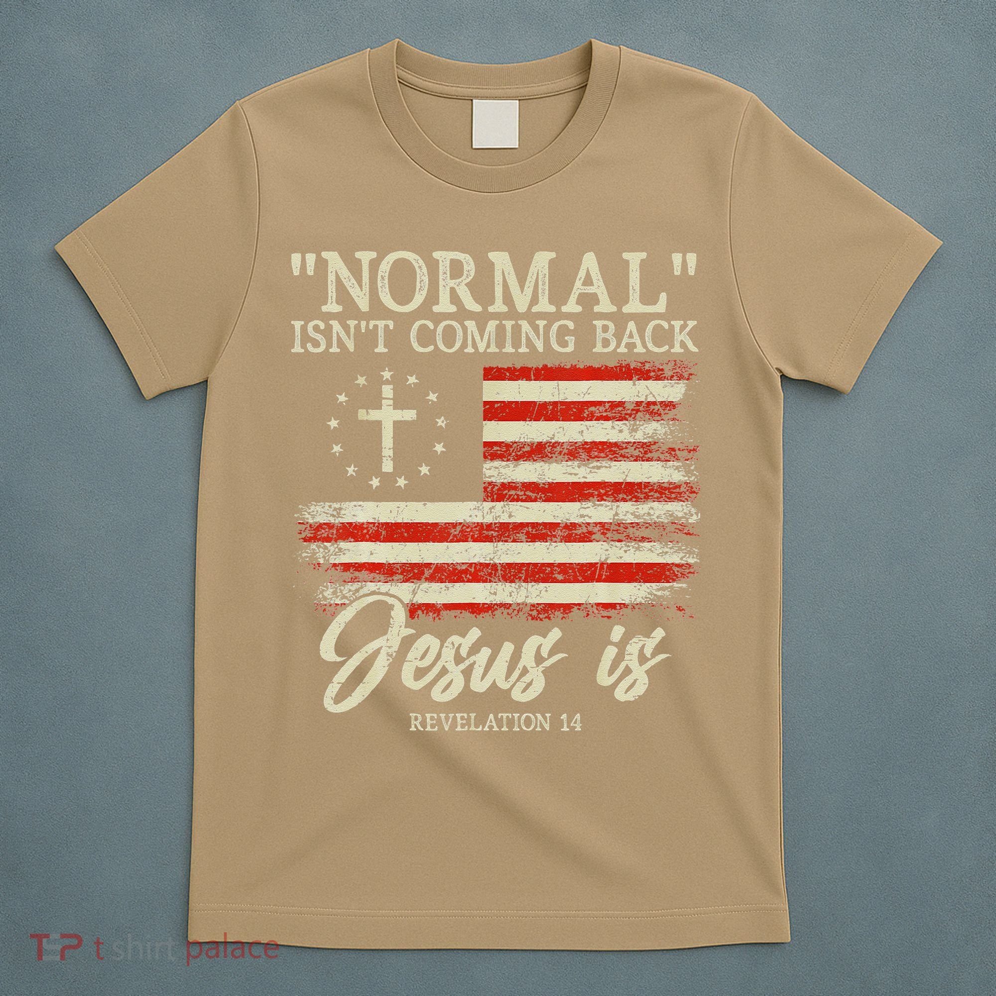 Christian Normal Isn't Coming Back Jesus Is Gift T-Shirt