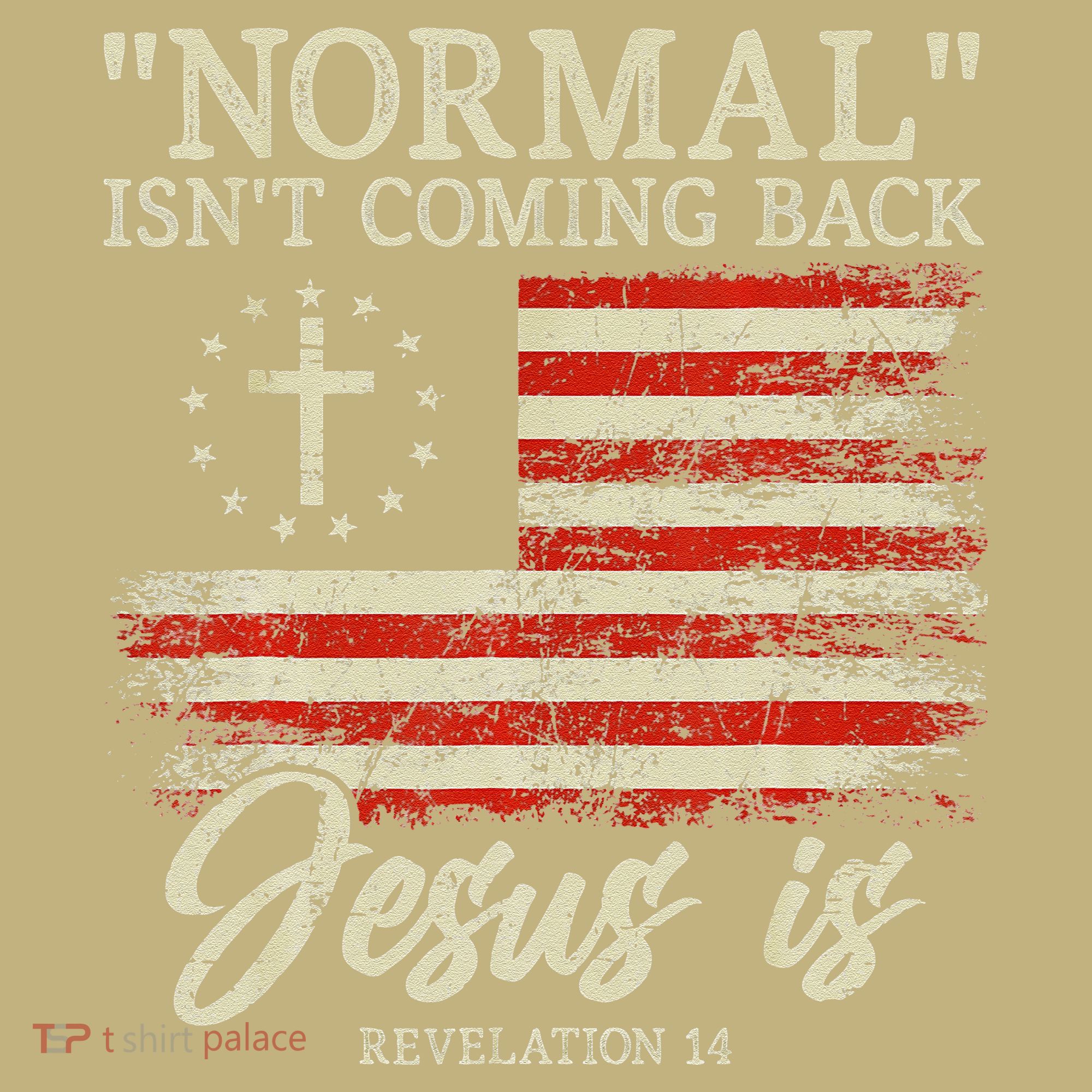 Christian Normal Isn't Coming Back Jesus Is Gift T-Shirt