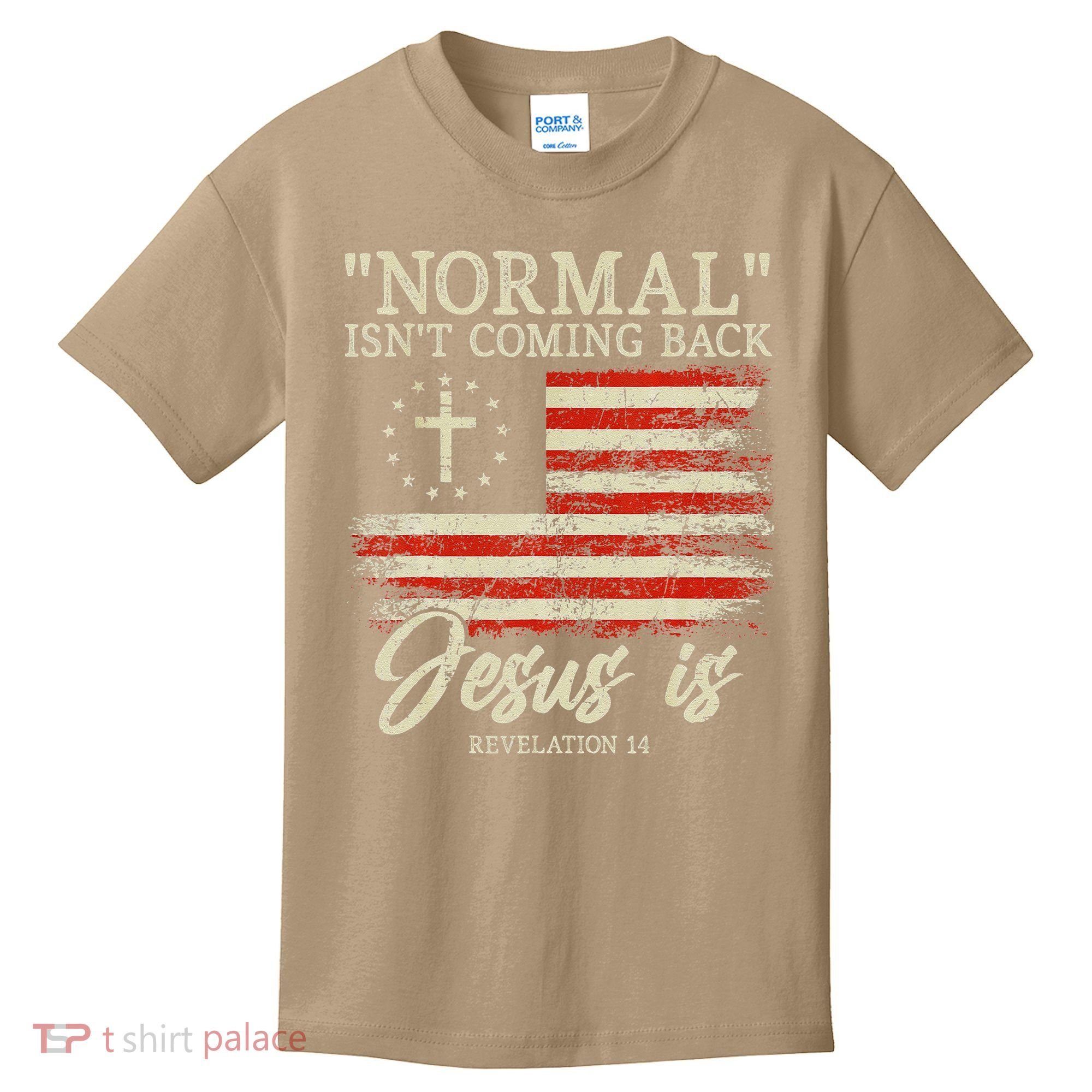 Christian Normal Isn't Coming Back Jesus Is Gift Kids T-Shirt