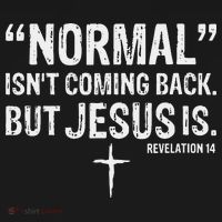 Christian Normal Isn't Coming Back But Jesus Is Revelation 14 Long Sleeve Shirt thumb 2