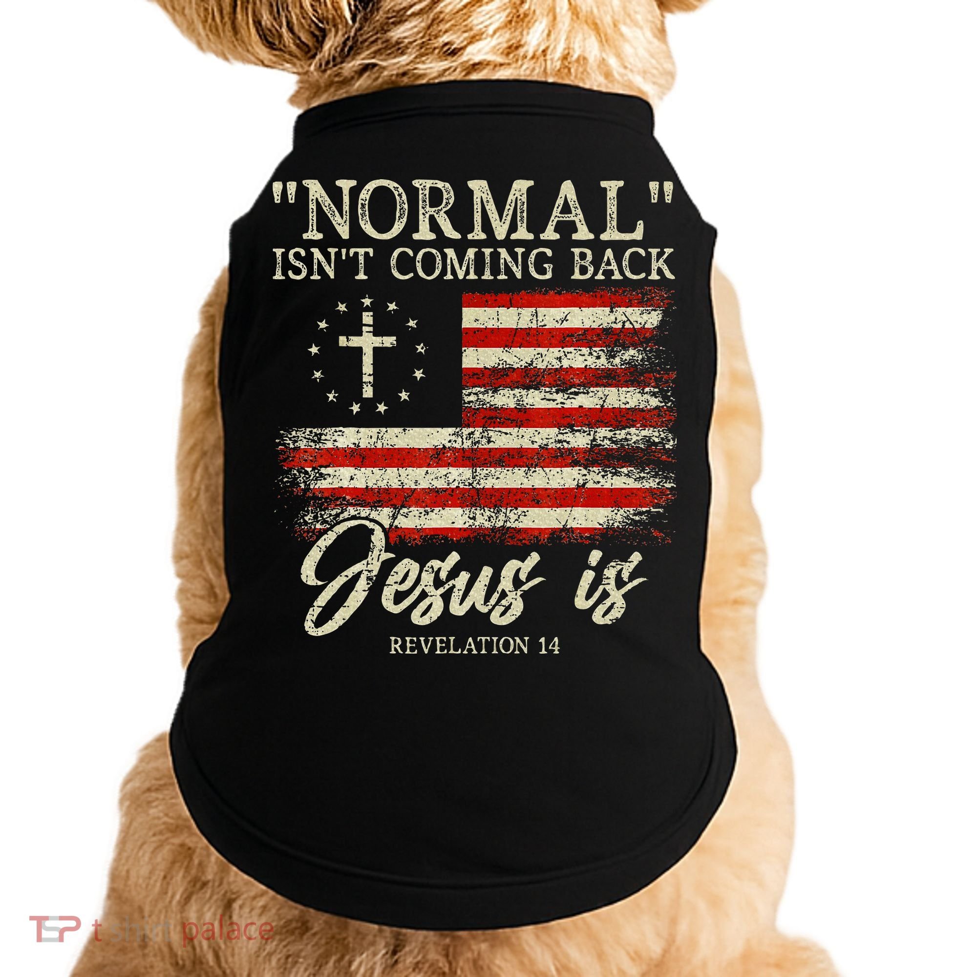 Christian Normal IsnT Coming Back Jesus Is Gift Doggie Tank