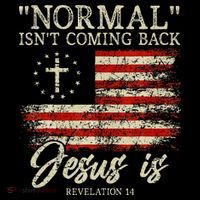 Christian Normal IsnT Coming Back Jesus Is Gift Women's Hoodie thumb 2