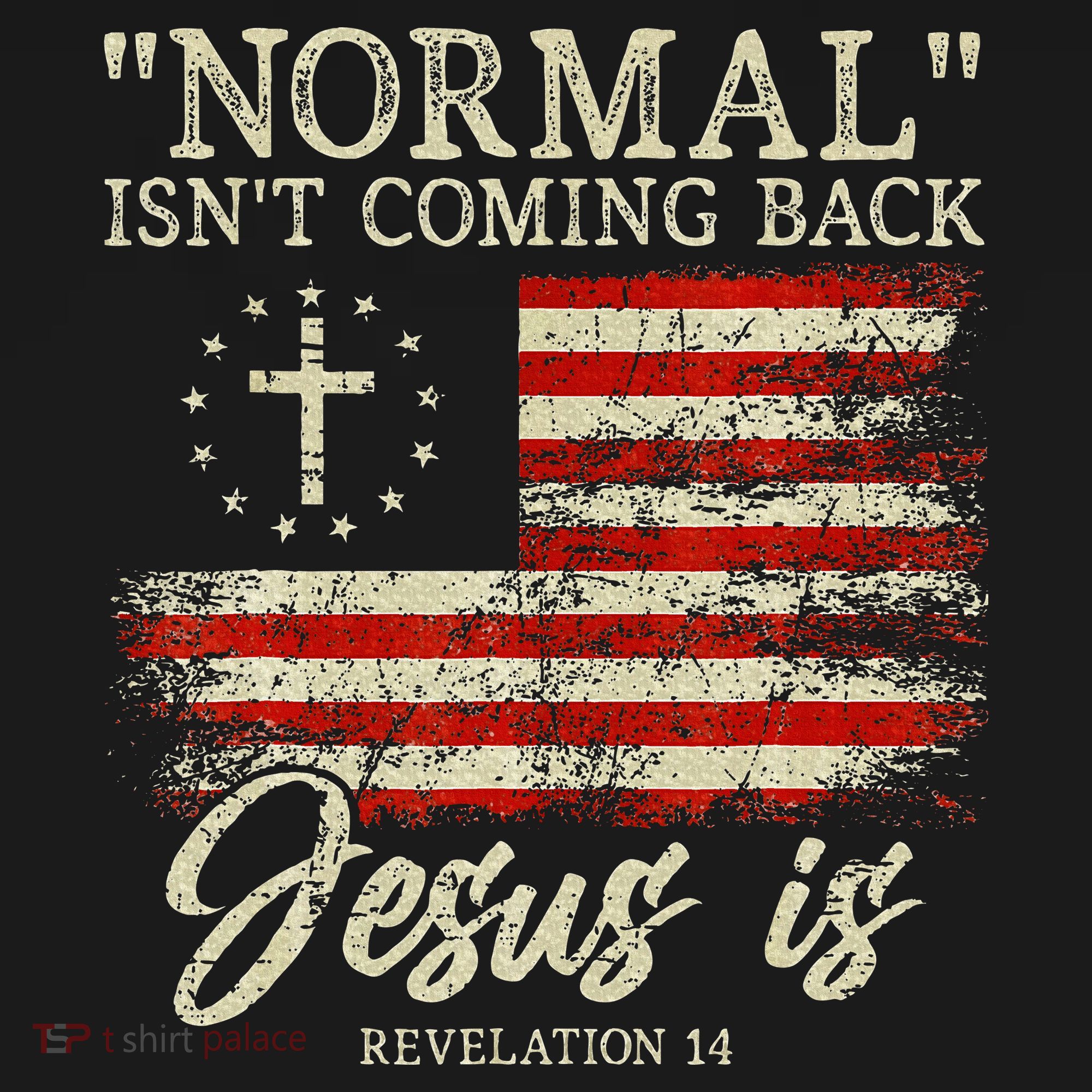 Christian Normal IsnT Coming Back Jesus Is Gift Ornament