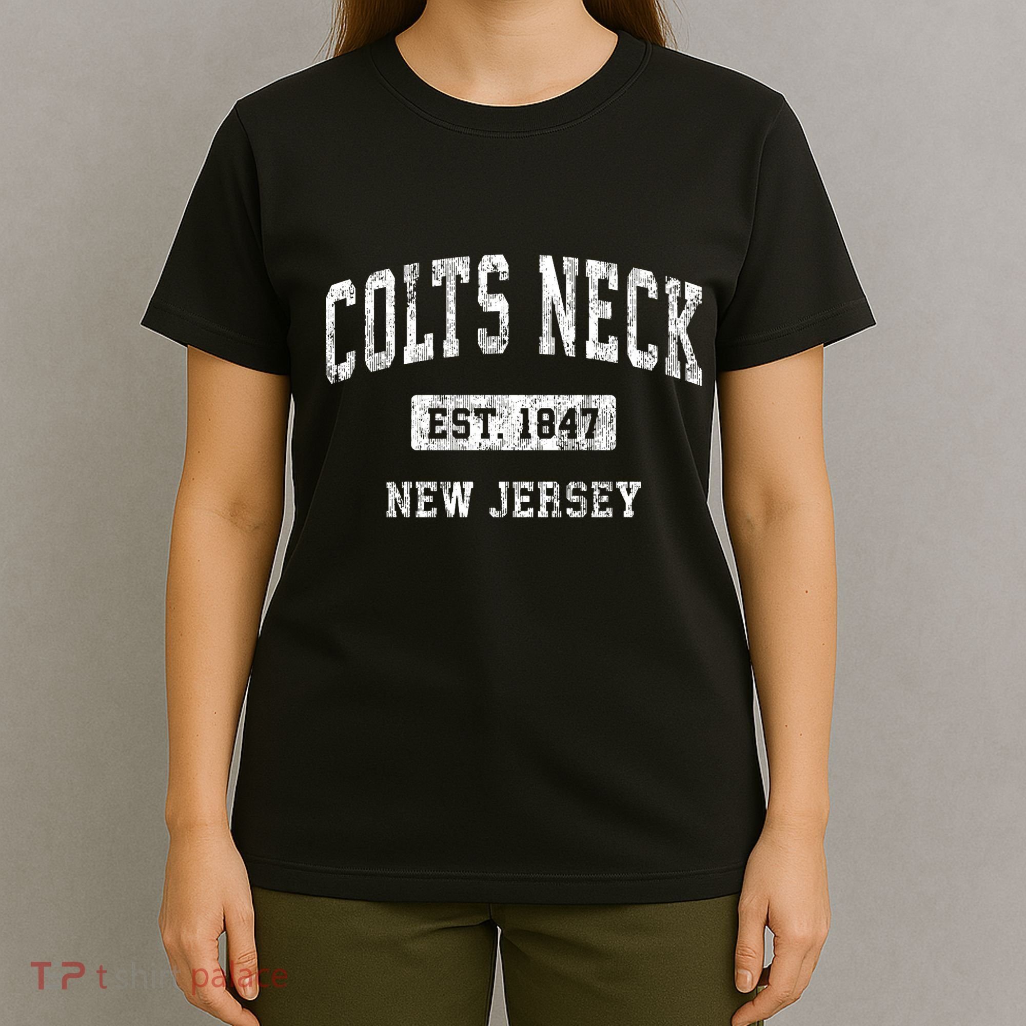 Colts Neck New Jersey Nj Vintage Sports Established T-Shirt