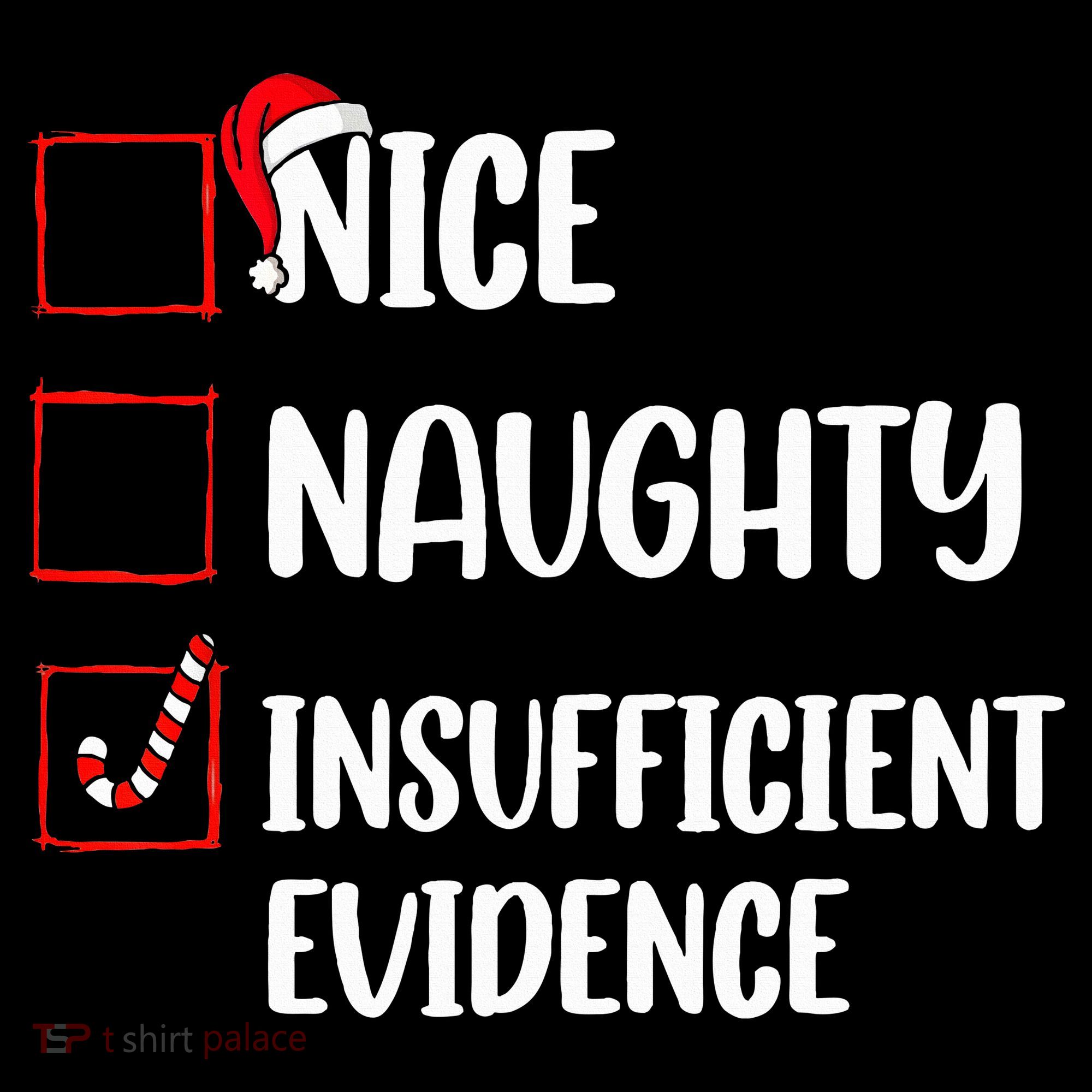Christmas Nice Naughty Insufficient Evidence Santa Women's Hoodie