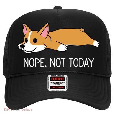 Corgi Nope Not Today Gift Hat