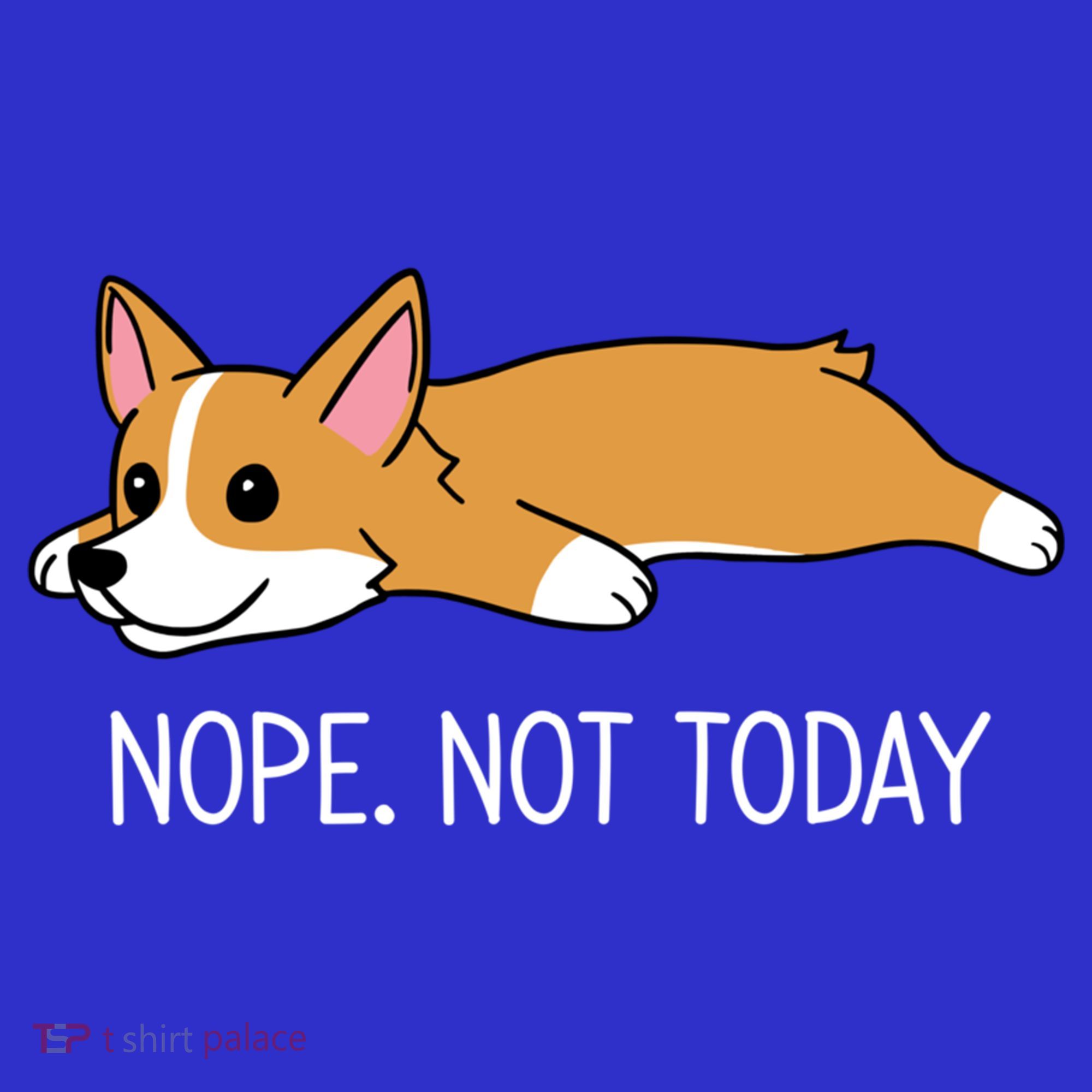 Corgi Nope Not Today Gift Hoodie