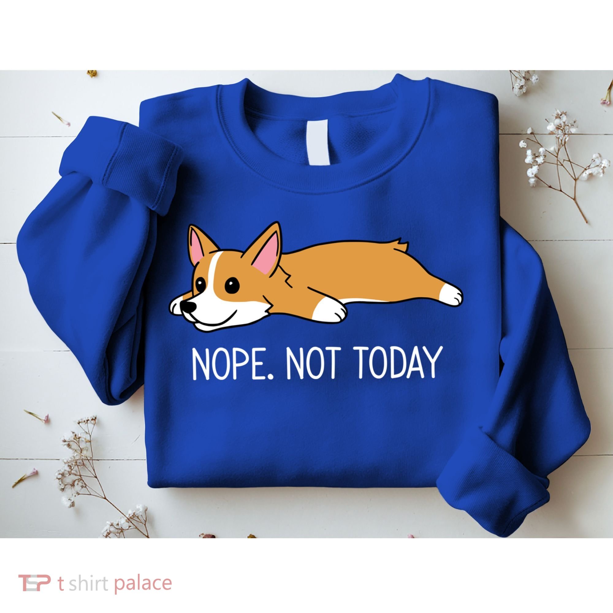 Corgi Nope Not Today Gift Sweatshirt