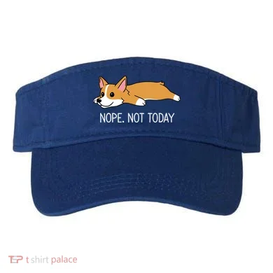 Visor
