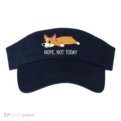 Visor