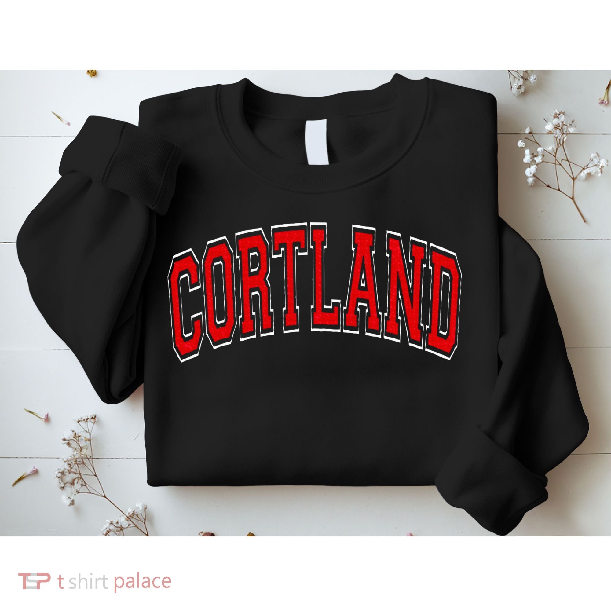 Cortland Ny New York Varsity Sweatshirt