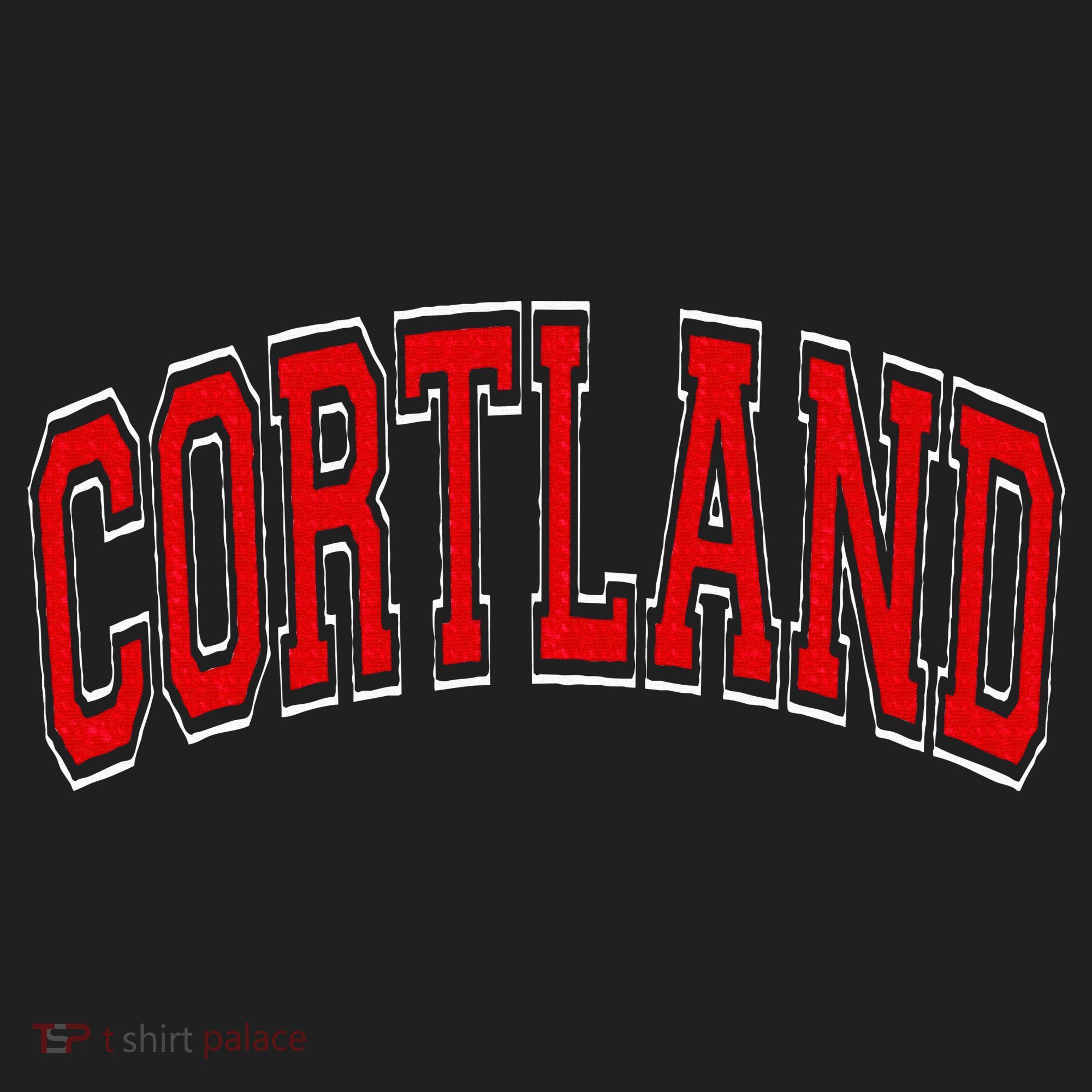 Cortland Ny New York Varsity Hat