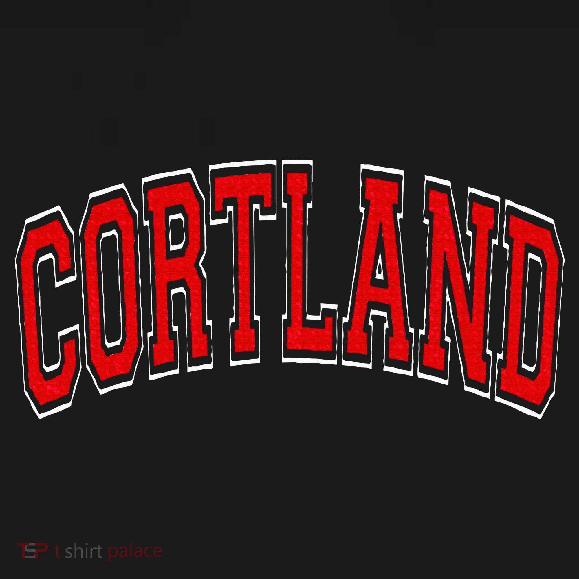 Cortland Ny New York Varsity Kids Long Sleeve Shirt
