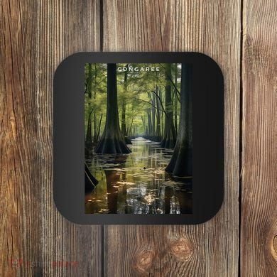Congaree National Park Coaster