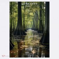 Congaree National Park Tank Top thumb 6