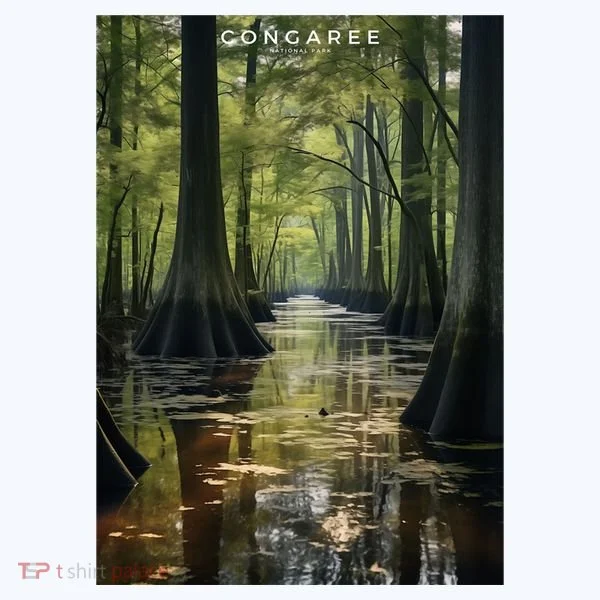 Congaree National Park Women's T-Shirt