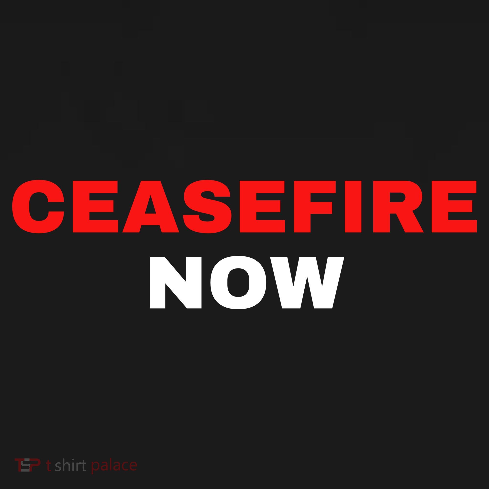 Ceasefire Now Palestine Hoodie