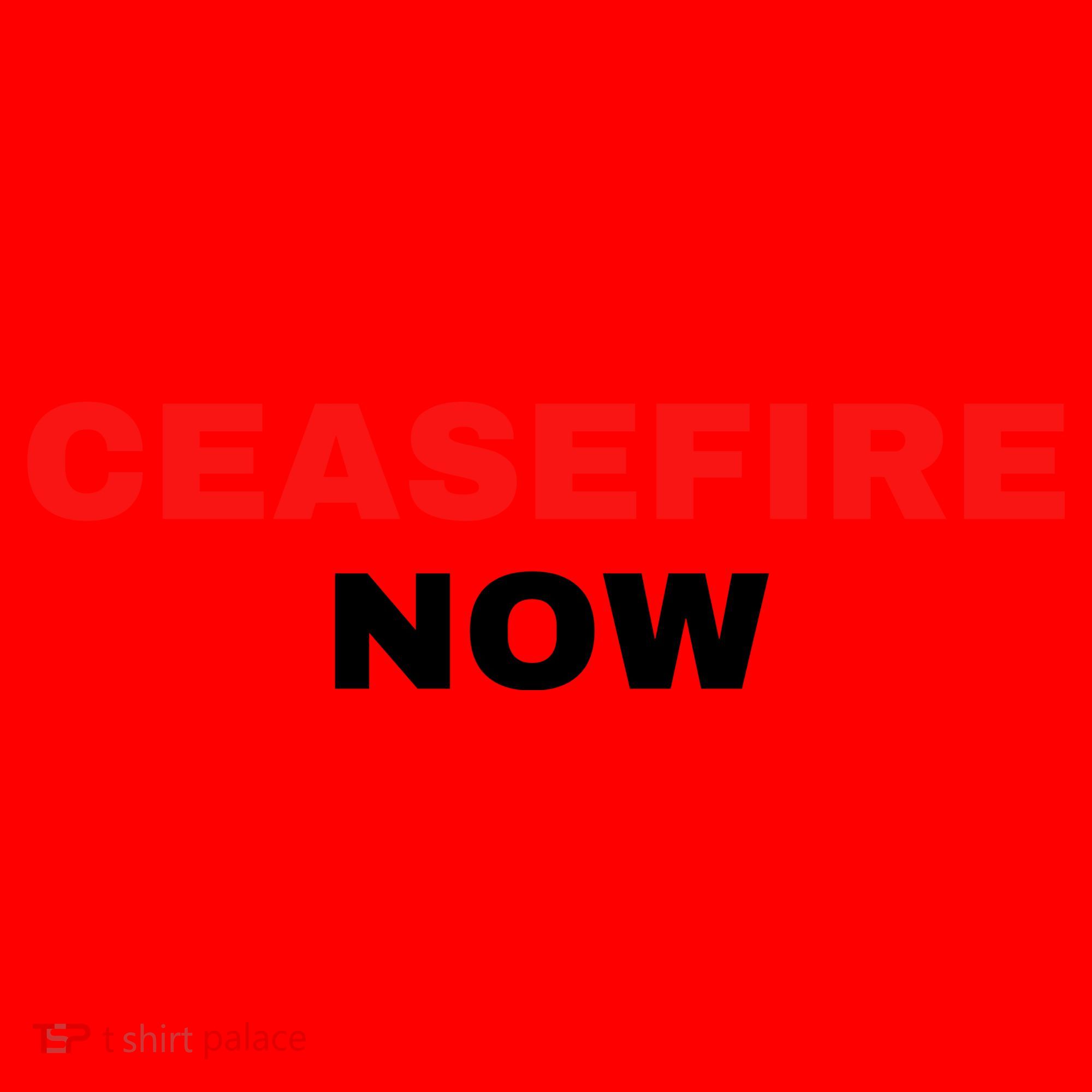 Ceasefire Now Palestine Santa Hat