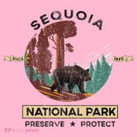 California National Park Sequoia Coaster thumb 2
