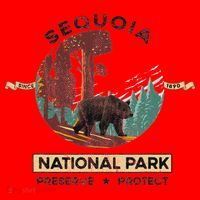 California National Park Sequoia Santa Hat thumb 1