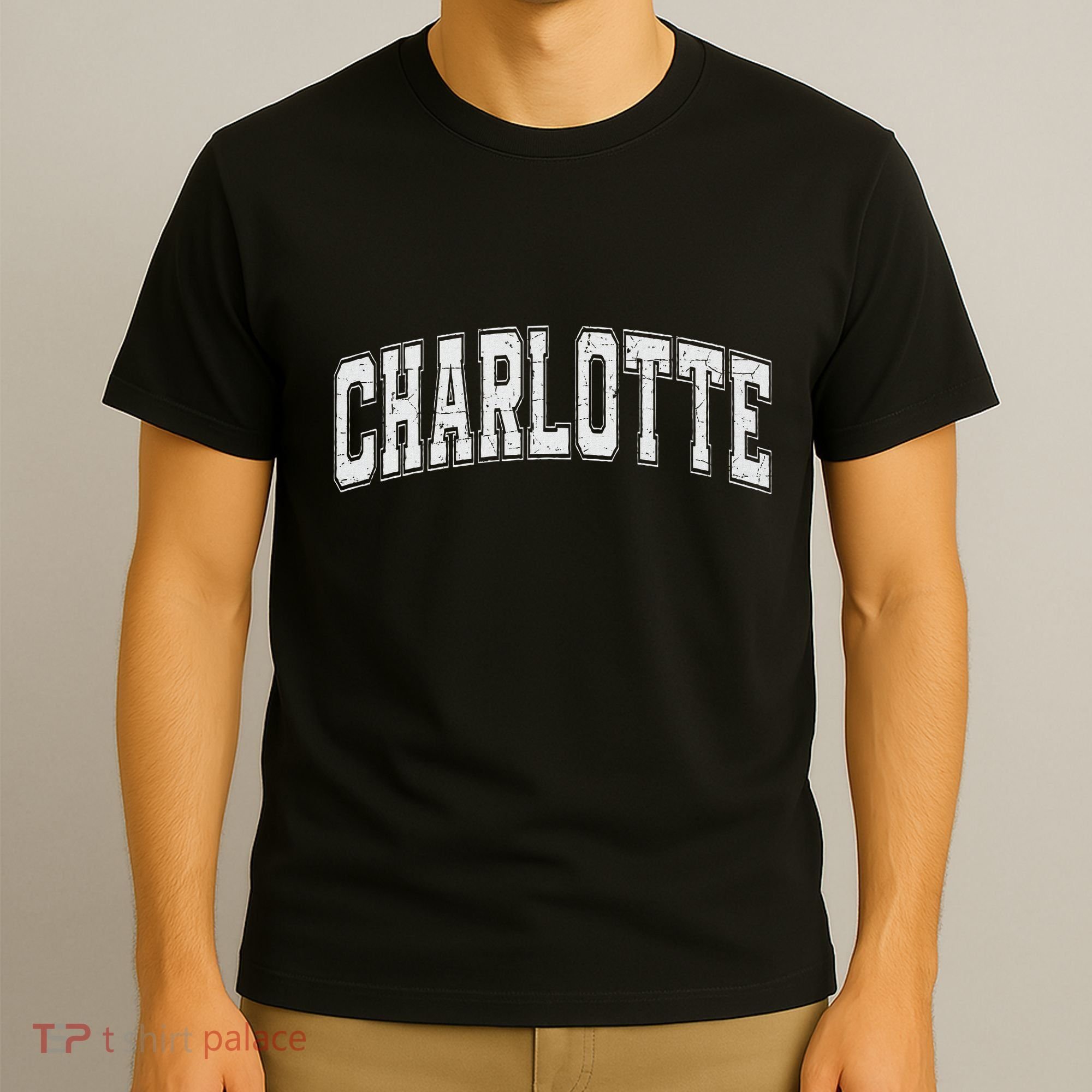 Charlotte Nc Vintage Sports White Retro Varsity Text T-Shirt