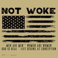 Conservative Not Woke 15 Hoodie thumb 7