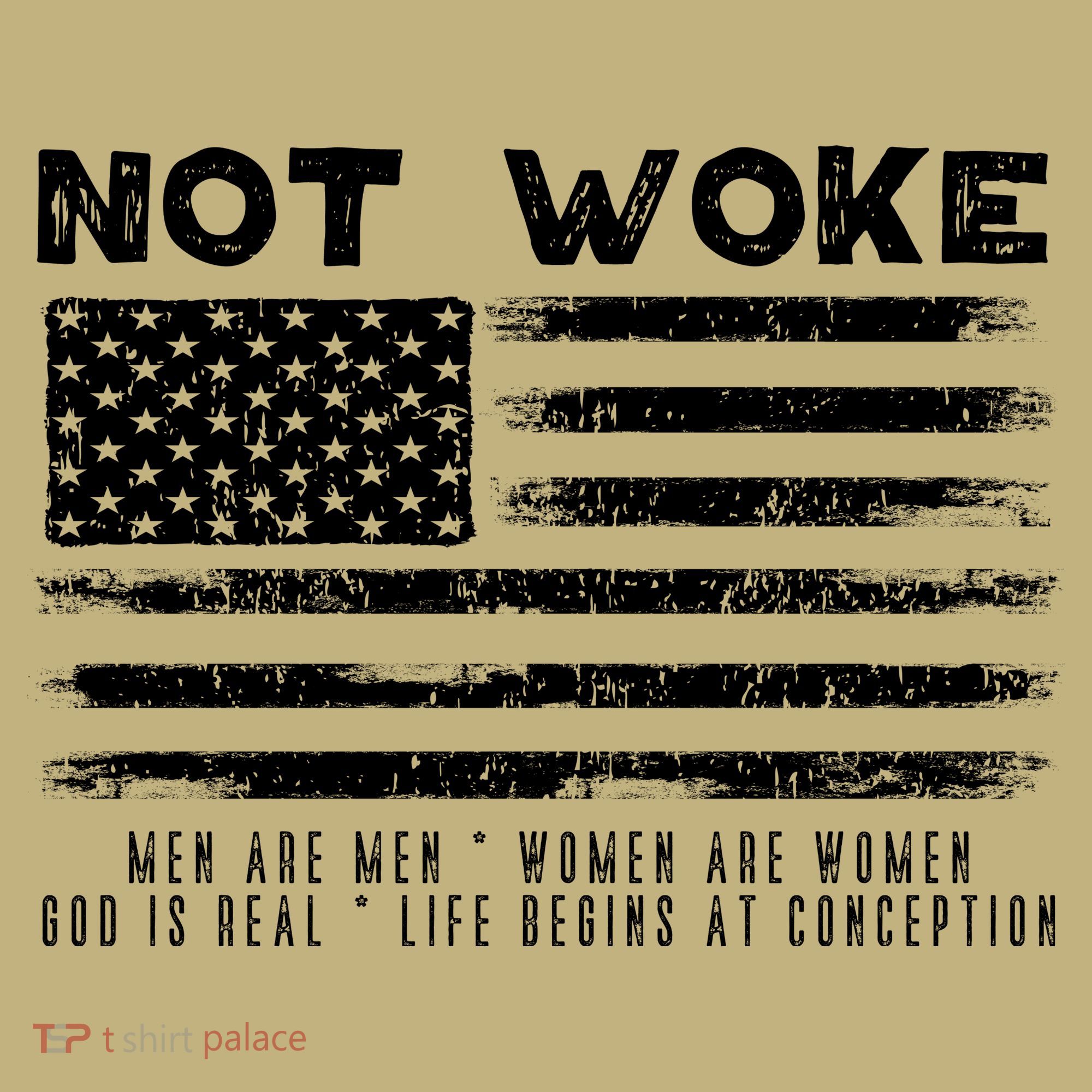 Conservative Not Woke 15 Hoodie