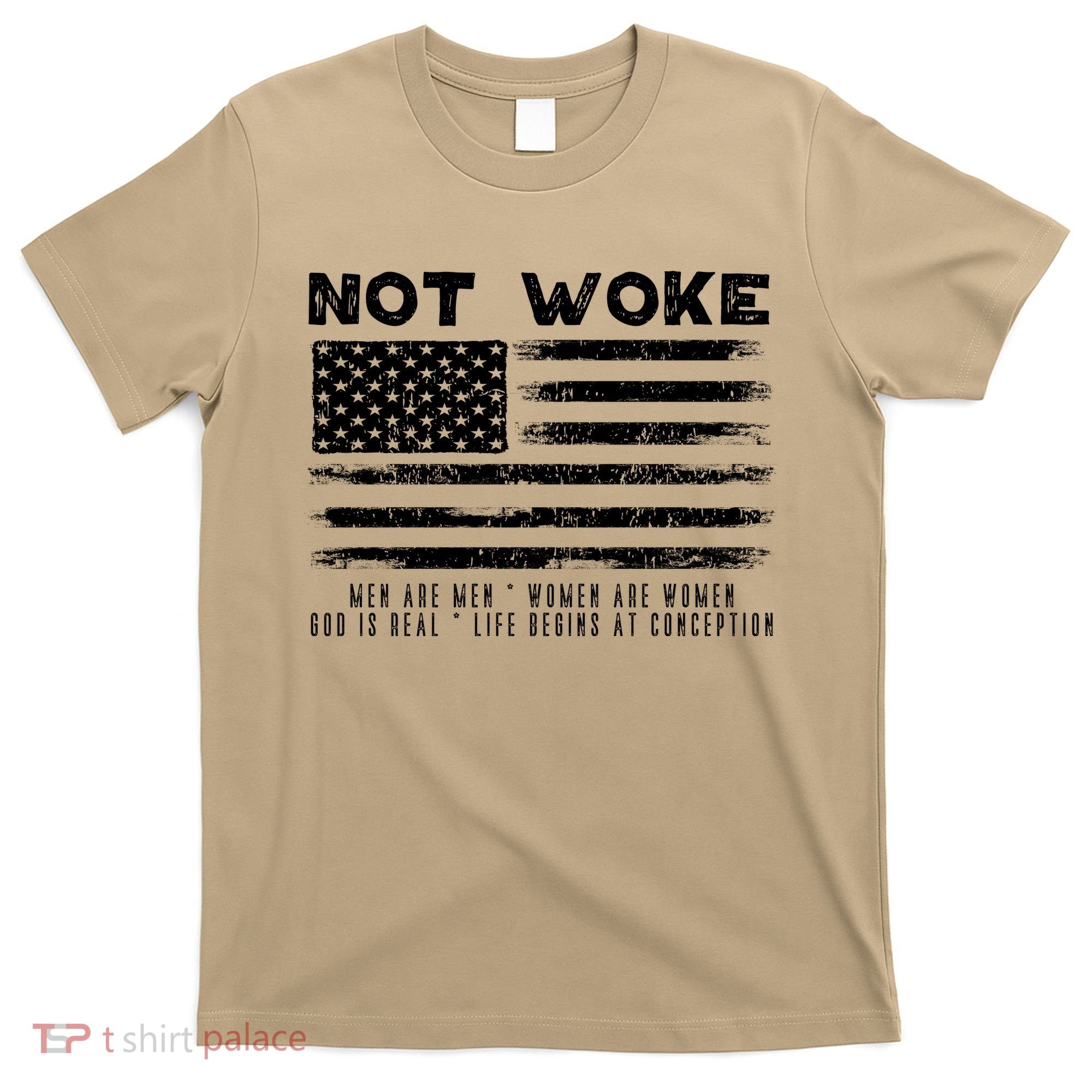 Conservative Not Woke 15 T-Shirt