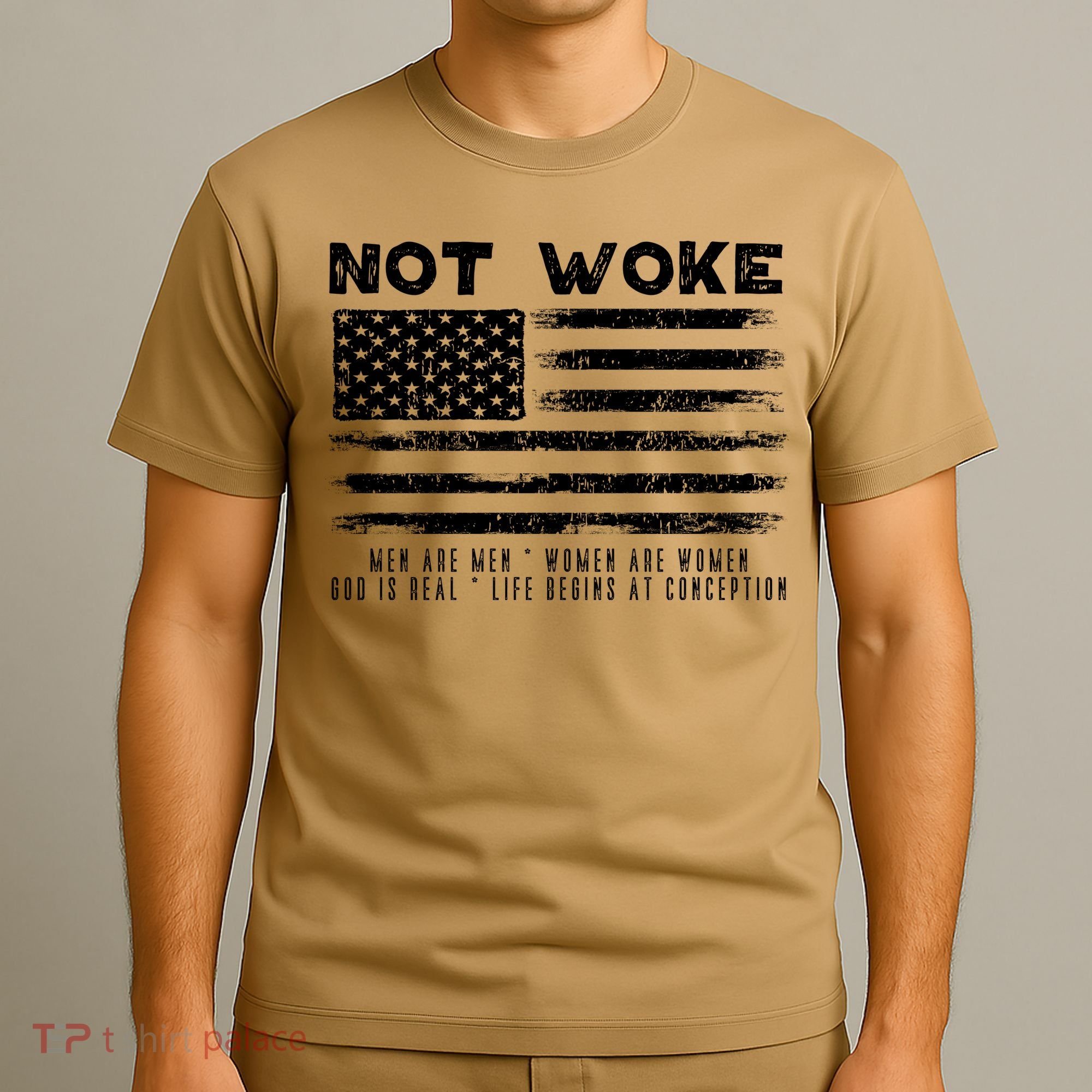 Conservative Not Woke 15 T-Shirt