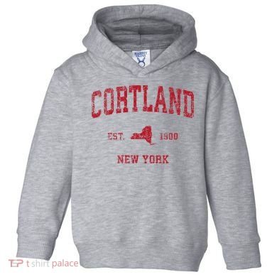 Cortland New York Ny Toddler Hoodie