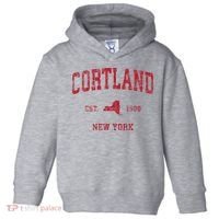 Cortland New York Ny Toddler Hoodie thumb 0