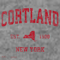 Cortland New York Ny Toddler Hoodie thumb 2