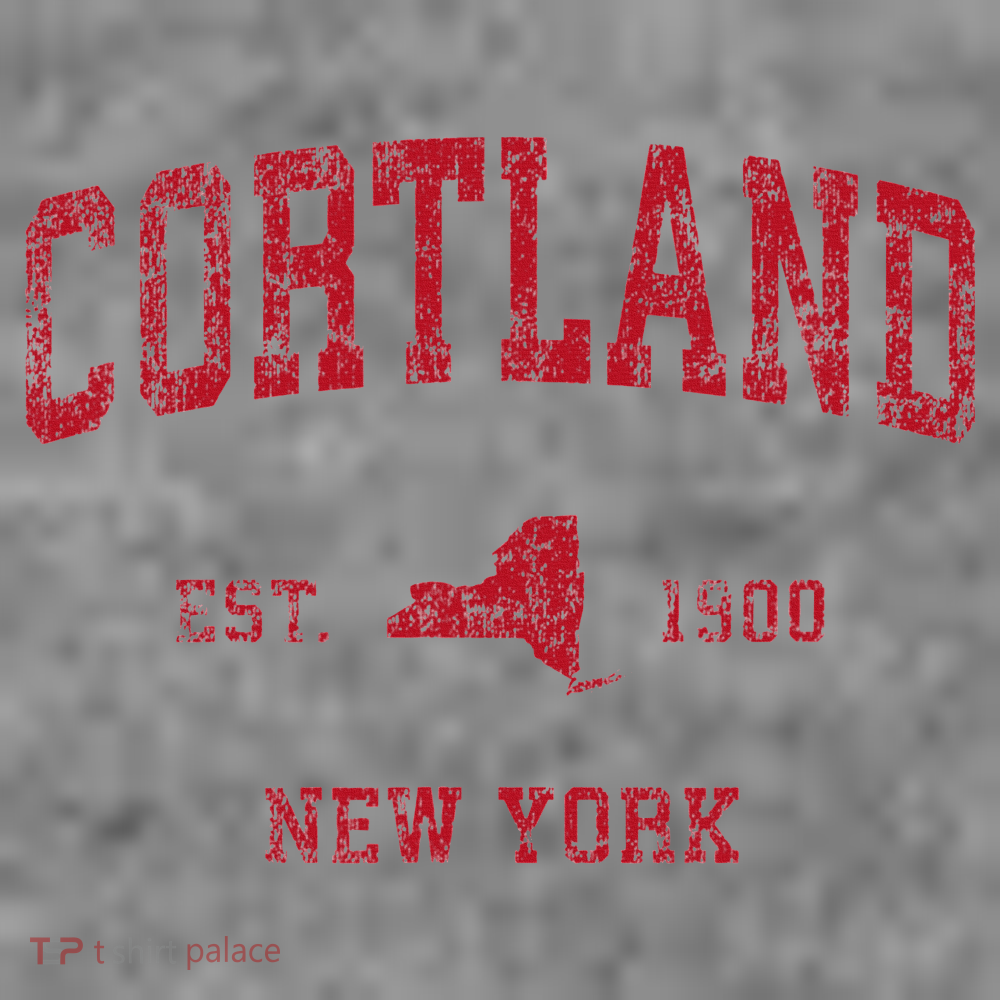 Cortland New York Ny Toddler Hoodie