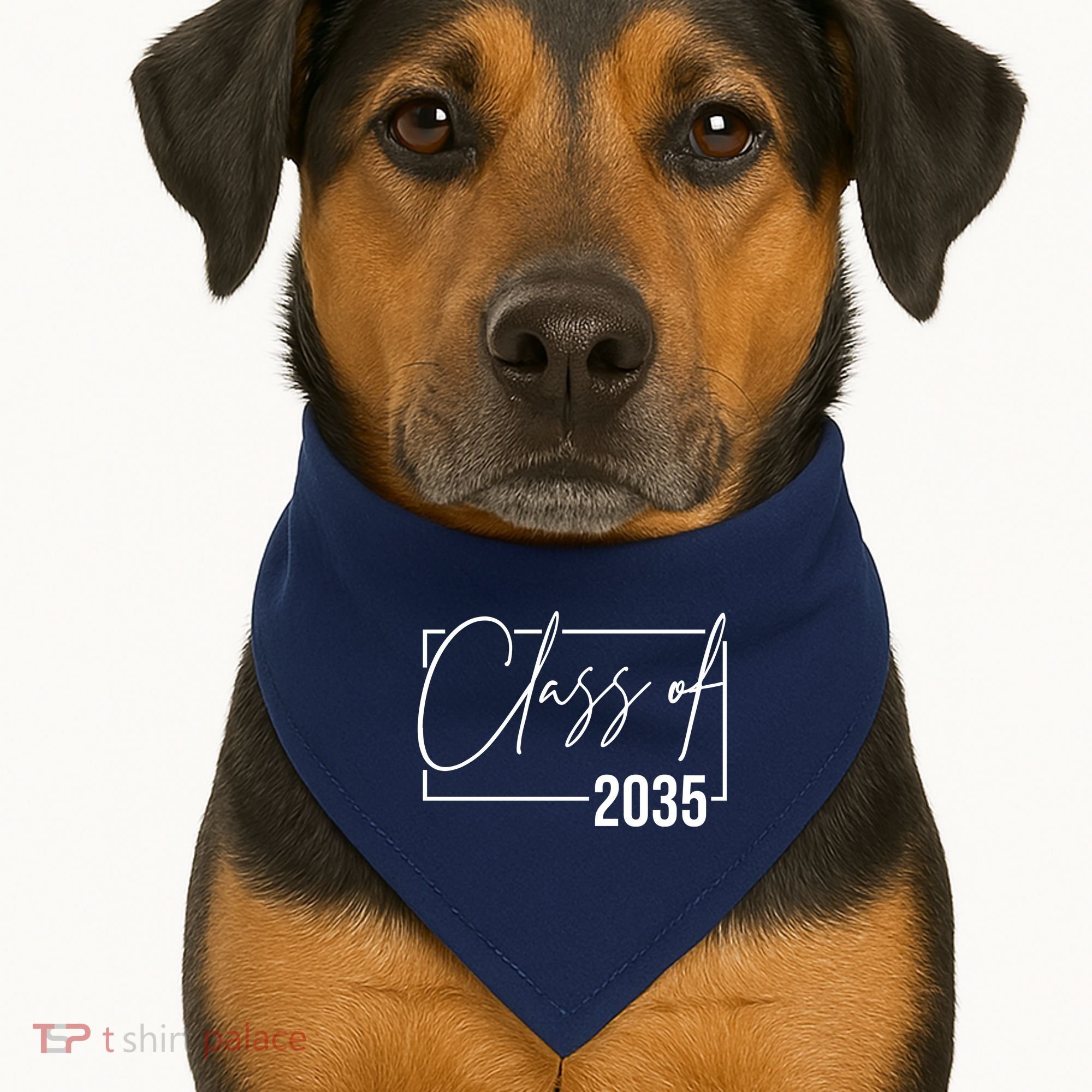 Class Of 2035 Back To School USA-Made Doggie Bandana