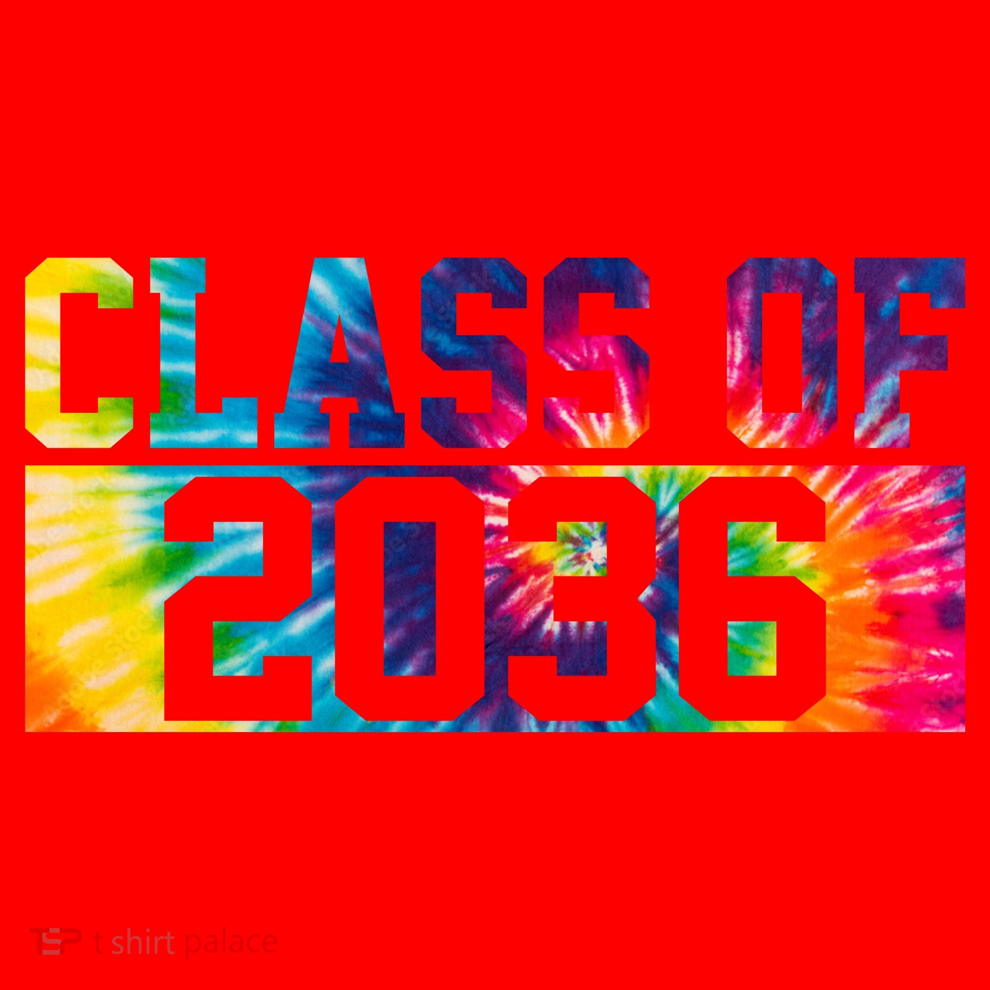 Class Of 2036 Graduation First Day Tie Dye Santa Hat