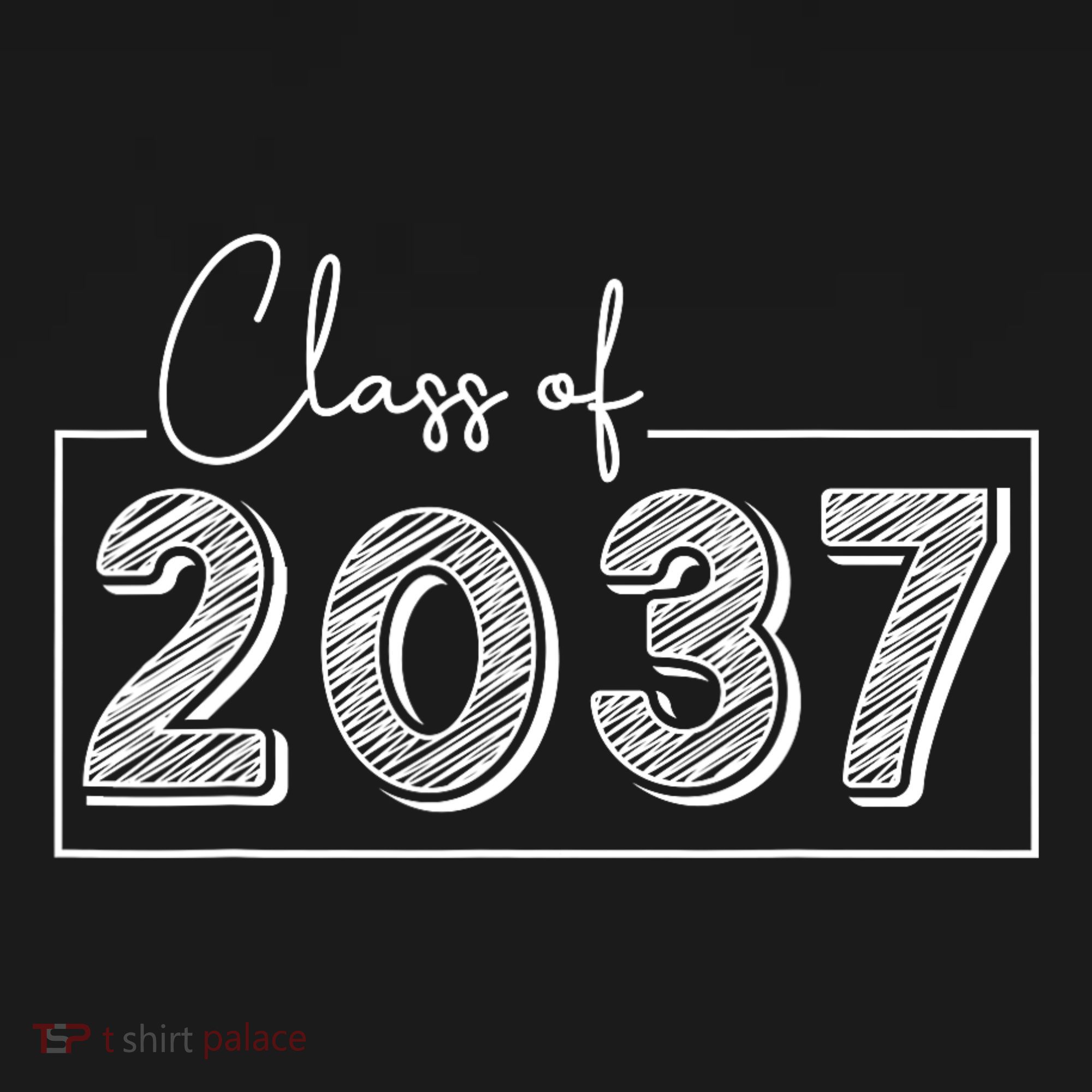Class Of 2037 Grow With Me Toddler Hoodie