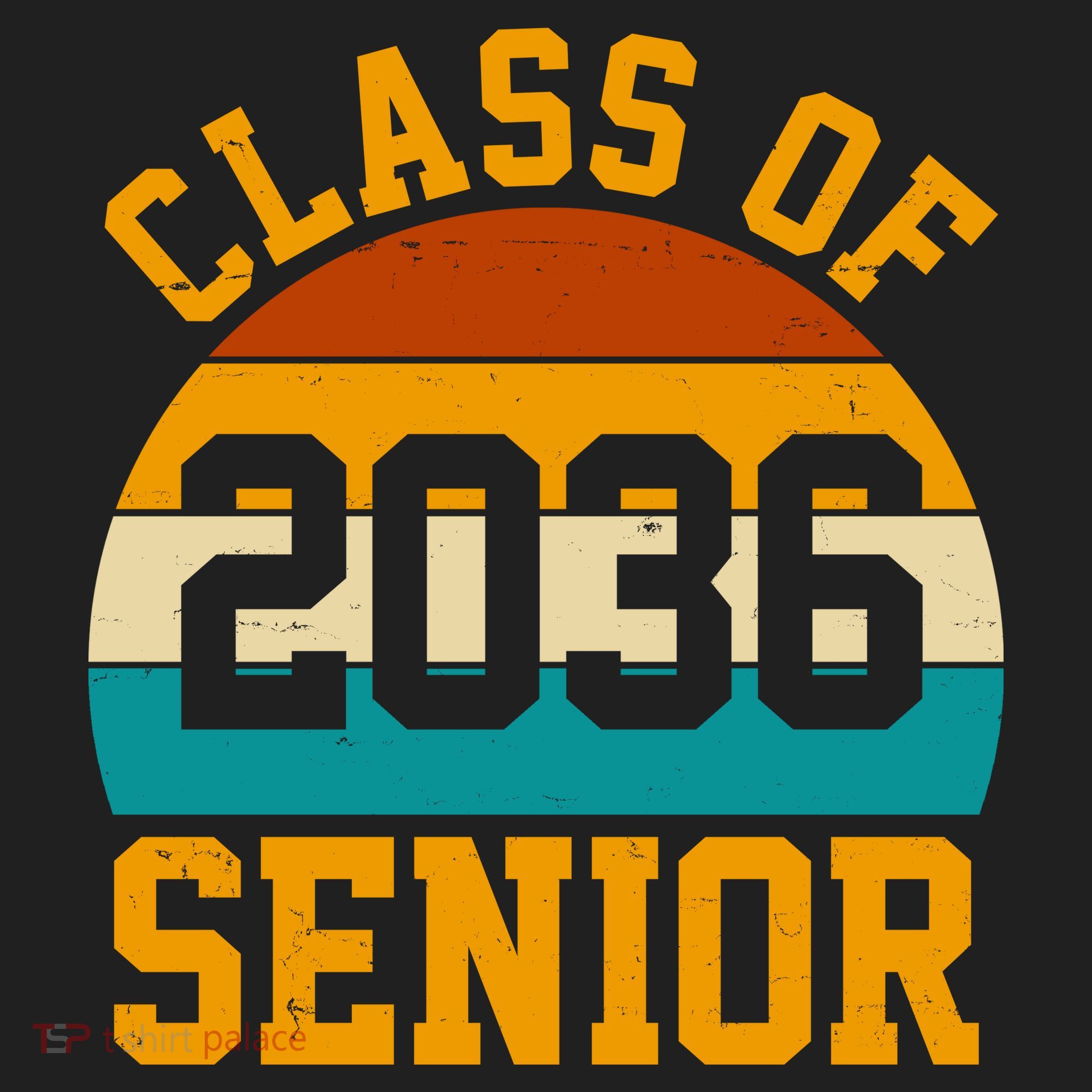 Class Of 2036 Senior Retro Sunset Tumbler