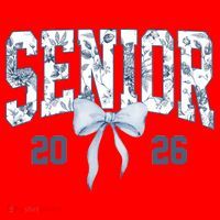 Class Of 2026 Senior Coquette Bow Blue Toile Floral Santa Hat thumb 1