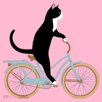 Cat On A Bike Funny Coaster thumb 2