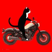 Cat On A Motorcycle Funny Santa Hat thumb 1