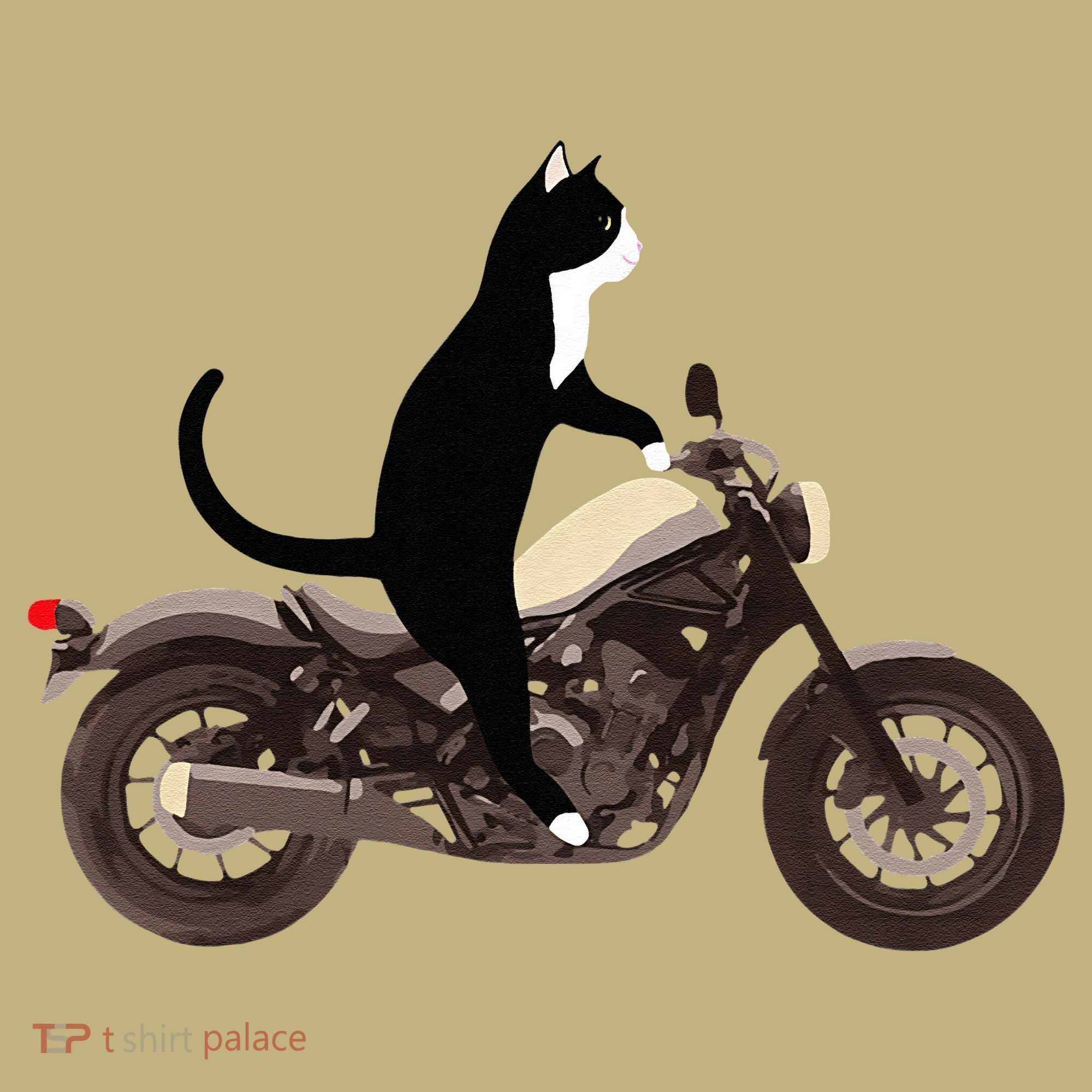Cat On A Motorcycle Funny Sweatshirt