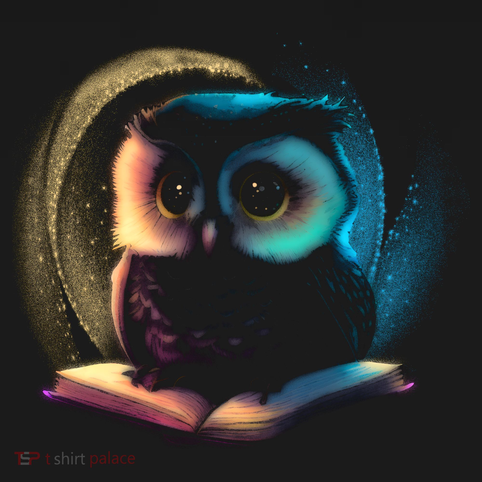 Cute Owl Animal With Book Visor