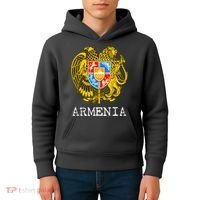 Coat of Arms of Armenia Kids Hoodie thumb 4