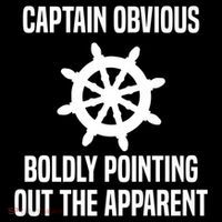 Captain Obvious Boldly Pointing Out The Apparent Sarcasm Apron thumb 3