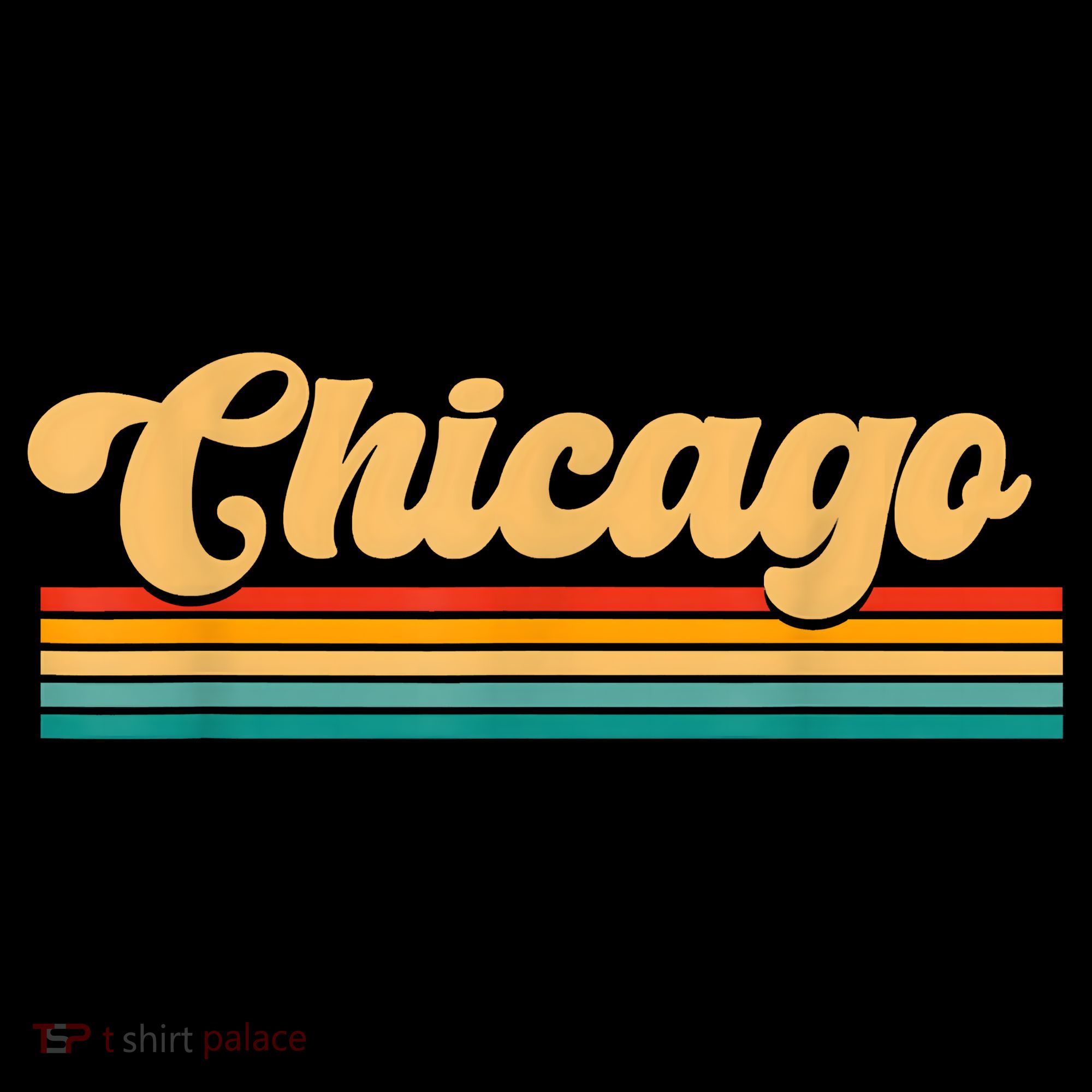 City Of Chicago Women's Hoodie