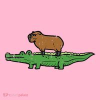 Capybara On Crocodile Capy Alligator Rodent Coaster thumb 2